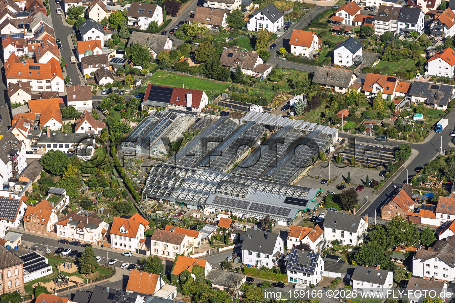Serres de la ville de Berchtenbreiter Flowers à Großostheim dans le département Bavière, Allemagne
