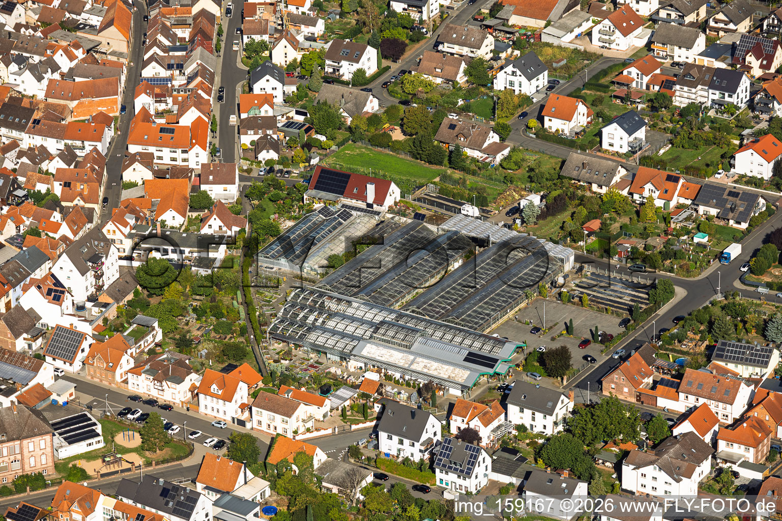 Serres de la ville de Berchtenbreiter Flowers à Großostheim dans le département Bavière, Allemagne