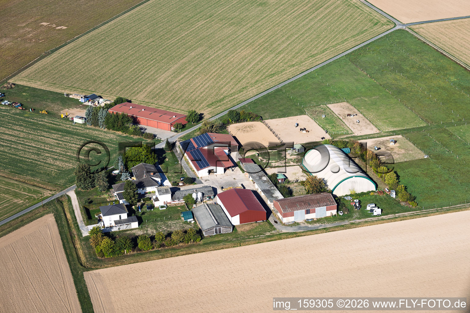 Ferme Lothar Krapp (Agriculture) à le quartier Langstadt in Babenhausen dans le département Hesse, Allemagne