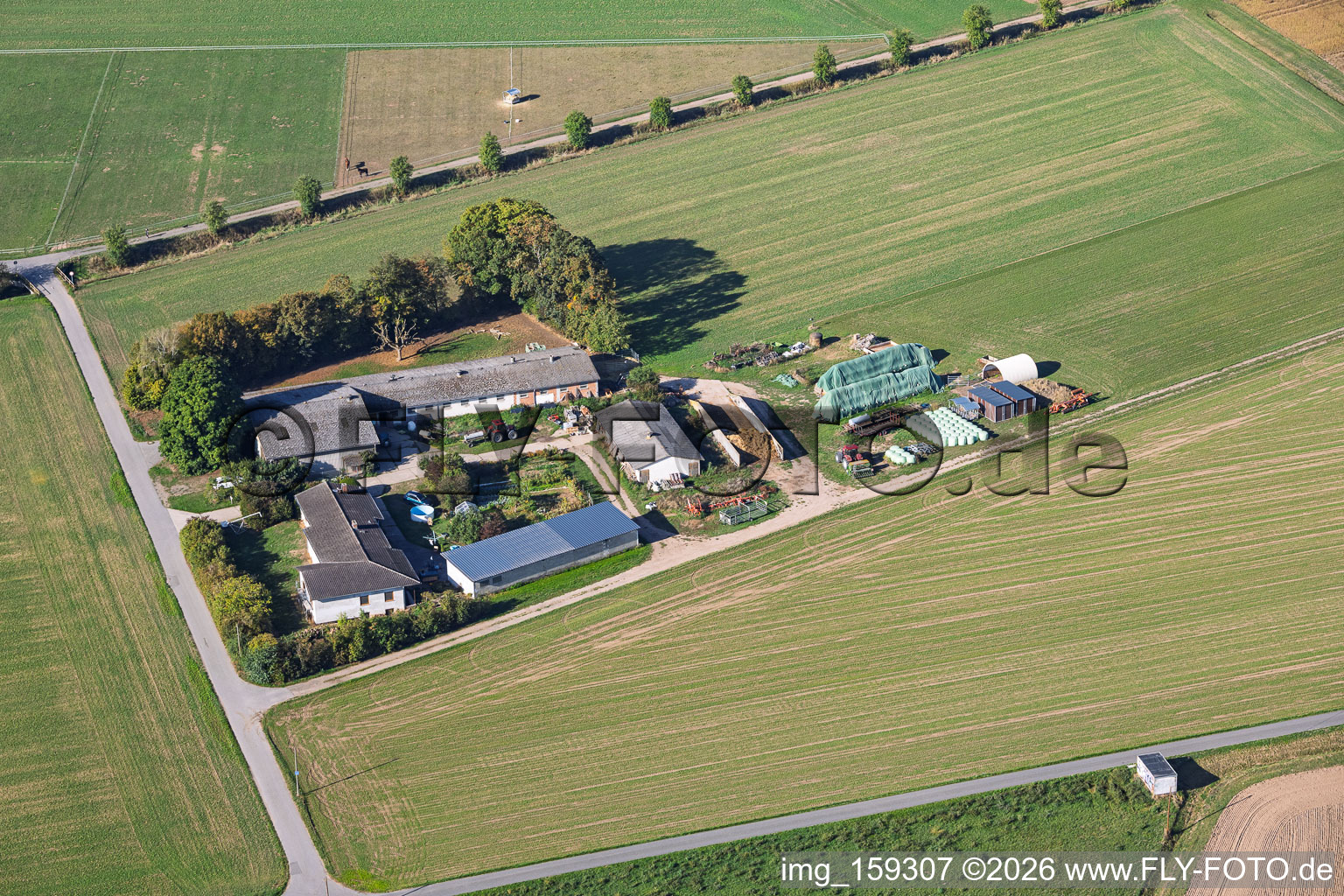 Mois Ferme (Agriculture) à le quartier Langstadt in Babenhausen dans le département Hesse, Allemagne
