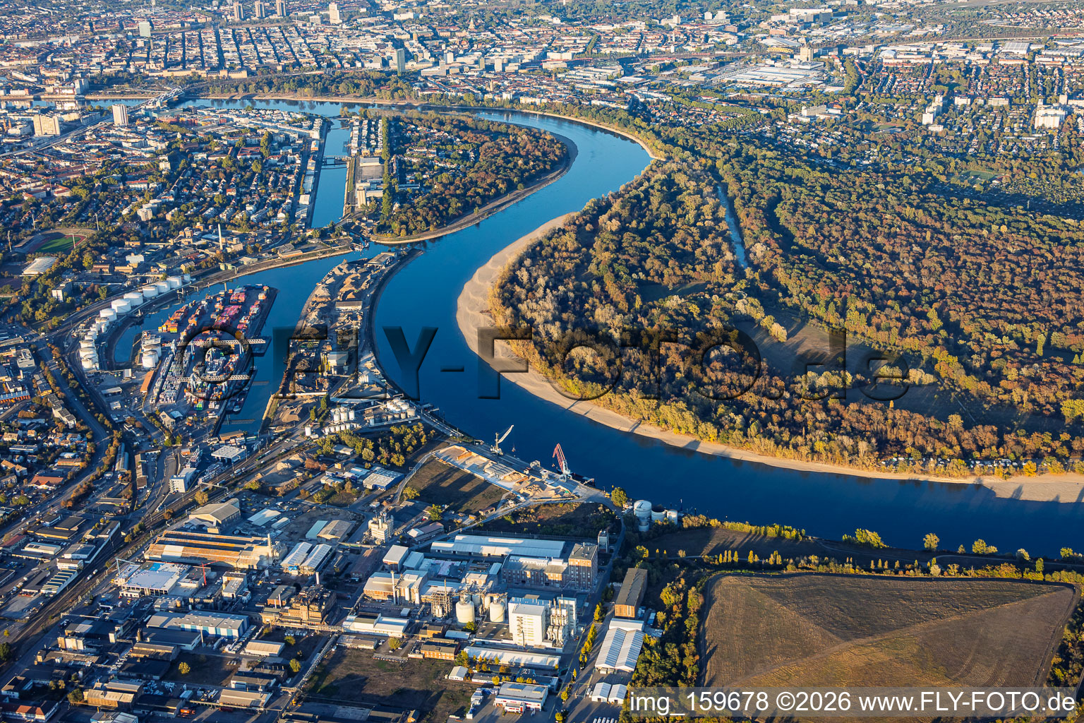 Étiage du Rhin autour de l'île Reißinsel, face au port Kaiserwörthhafen à le quartier Niederfeld in Mannheim dans le département Bade-Wurtemberg, Allemagne