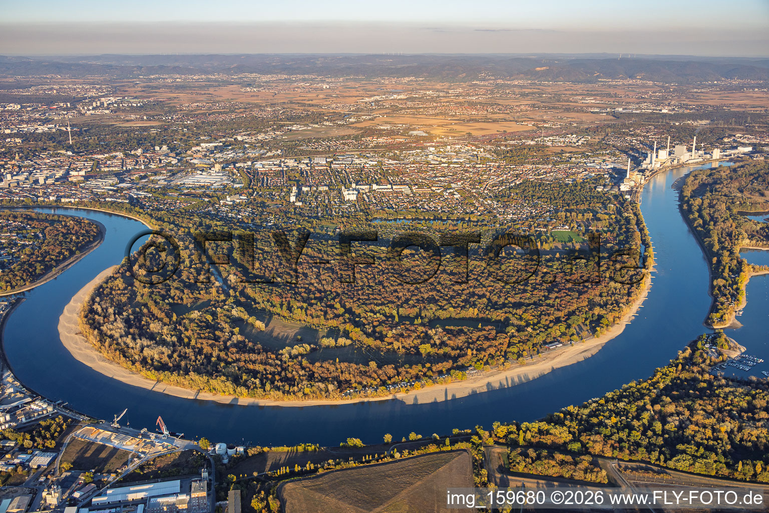 Étiage du Rhin aux abords de la réserve naturelle de Reißinsel / Kuckucksinsel à le quartier Niederfeld in Mannheim dans le département Bade-Wurtemberg, Allemagne