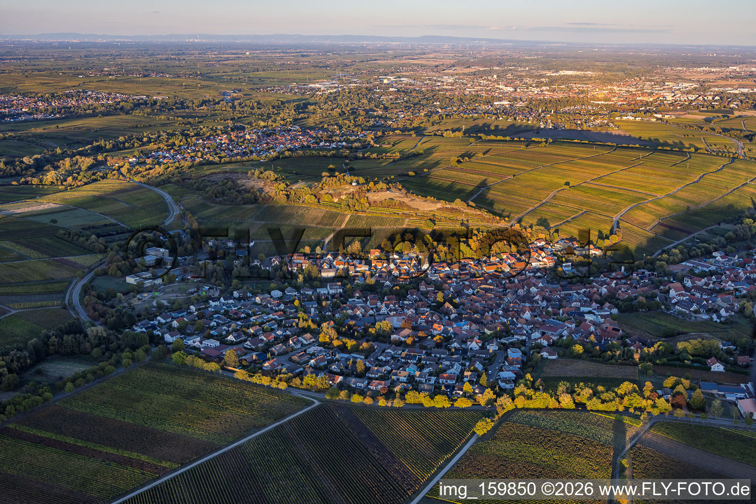 Vue d'un village viticole depuis l'ouest, en soirée, au milieu des vignobles près de la « petite Kalmit » à Ilbesheim bei Landau dans le département Rhénanie-Palatinat, Allemagne