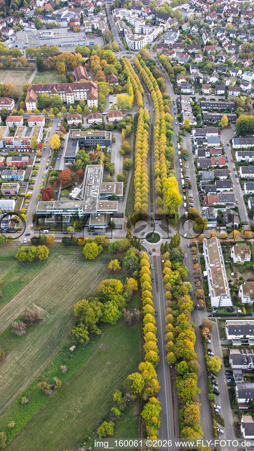 Allée bordée d'arbres en automne, rue Karlsruher Straße à Ettlingen dans le département Bade-Wurtemberg, Allemagne