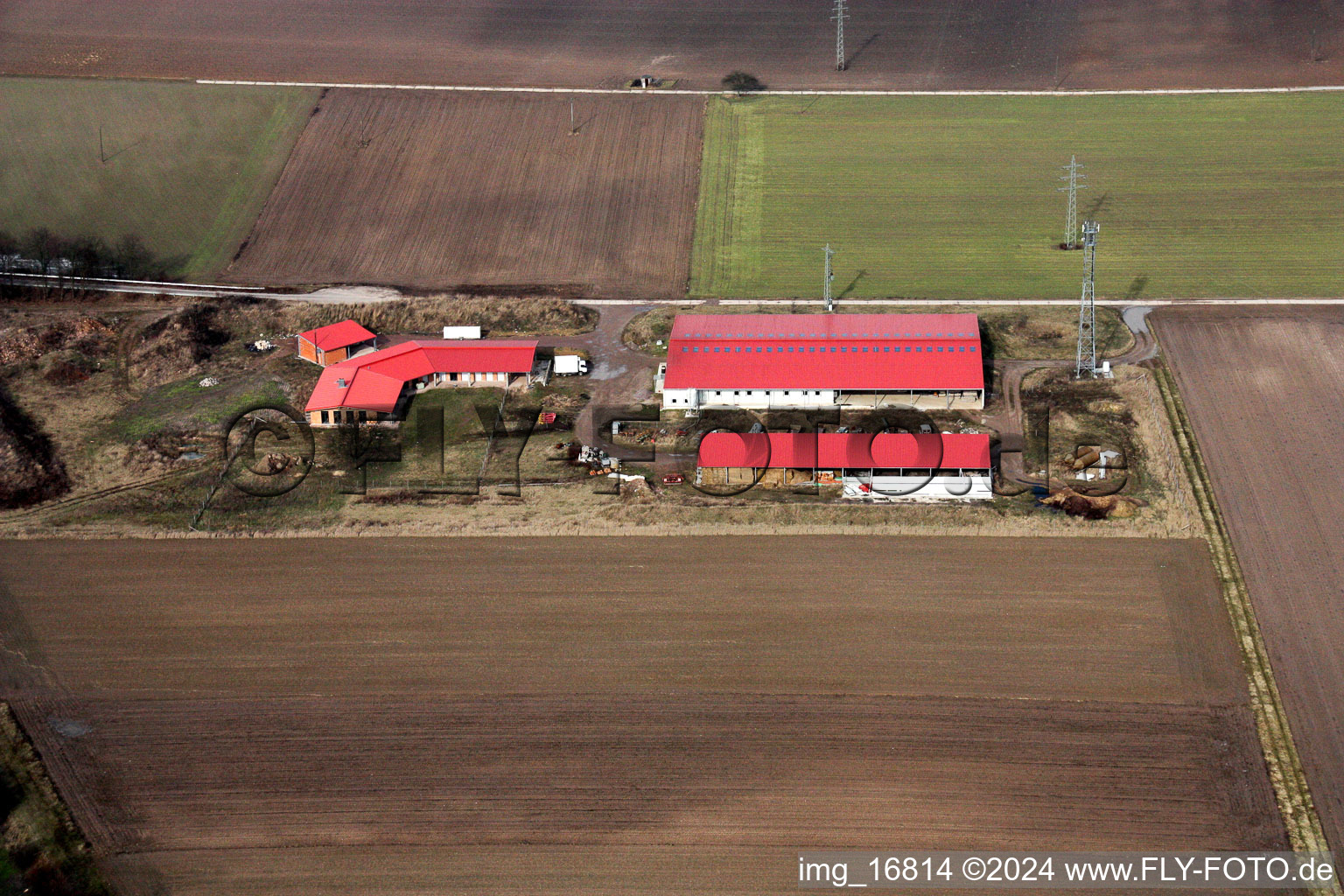 Vue aérienne de Aussiedlerhof à Erlenbach bei Kandel dans le département Rhénanie-Palatinat, Allemagne