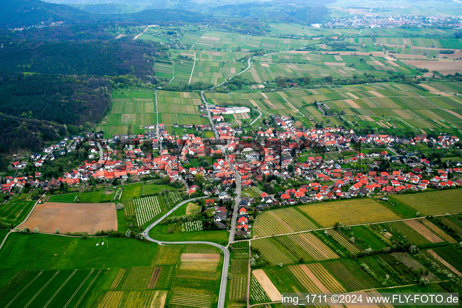 Oberotterbach dans le département Rhénanie-Palatinat, Allemagne vue d'en haut