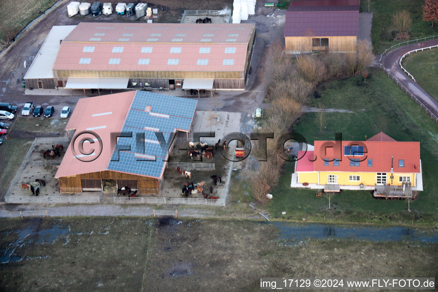 Vue aérienne de Haras islandais Bienwald à Freckenfeld dans le département Rhénanie-Palatinat, Allemagne