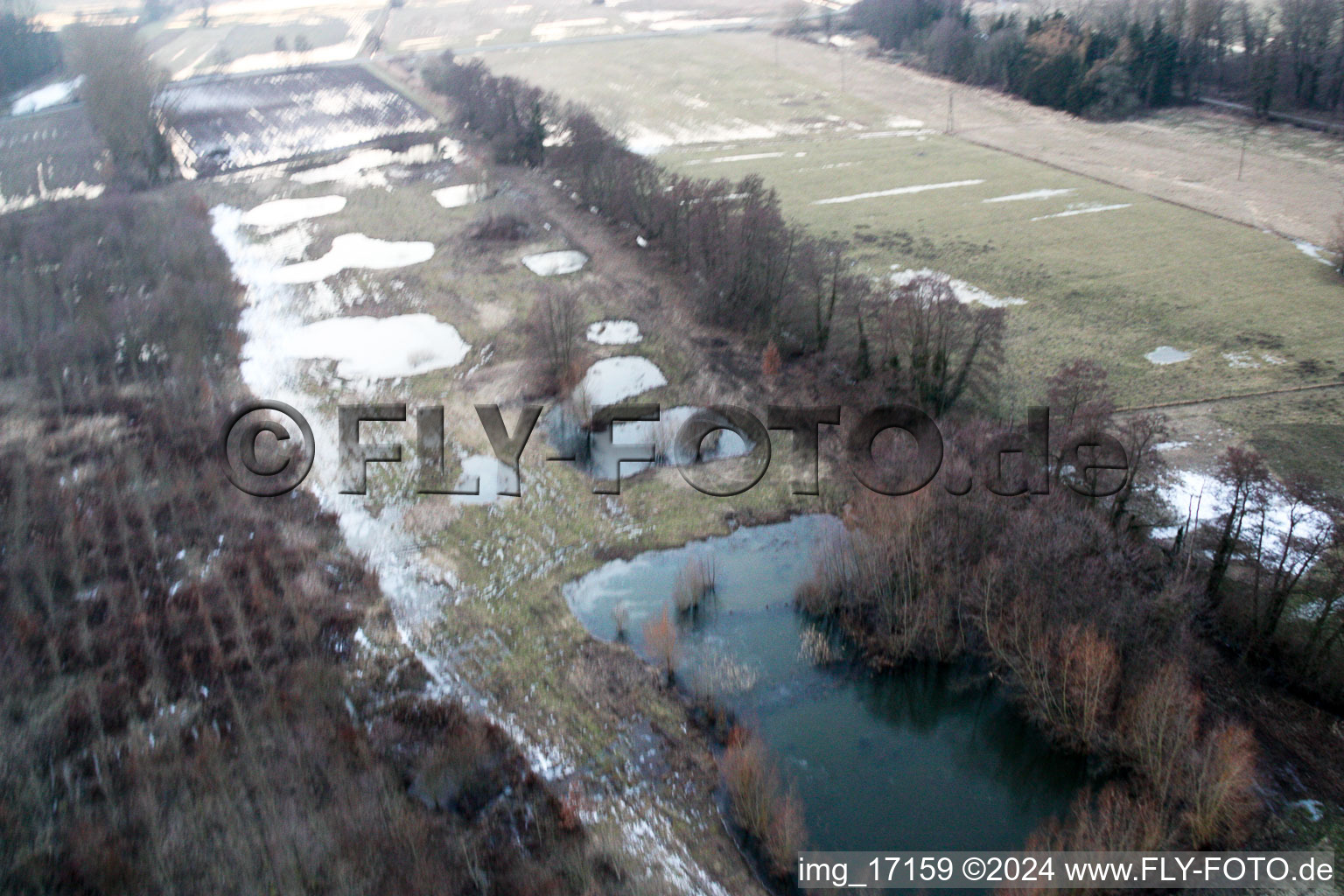 Vue aérienne de Biotope à Minfeld dans le département Rhénanie-Palatinat, Allemagne