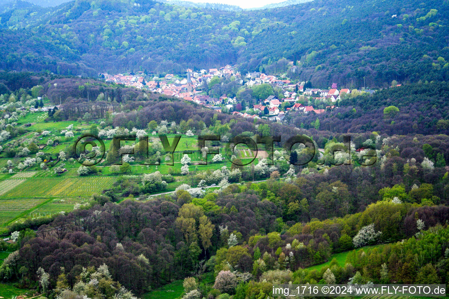 Vue aérienne de Champs agricoles et surfaces utilisables à Dörrenbach dans le département Rhénanie-Palatinat, Allemagne