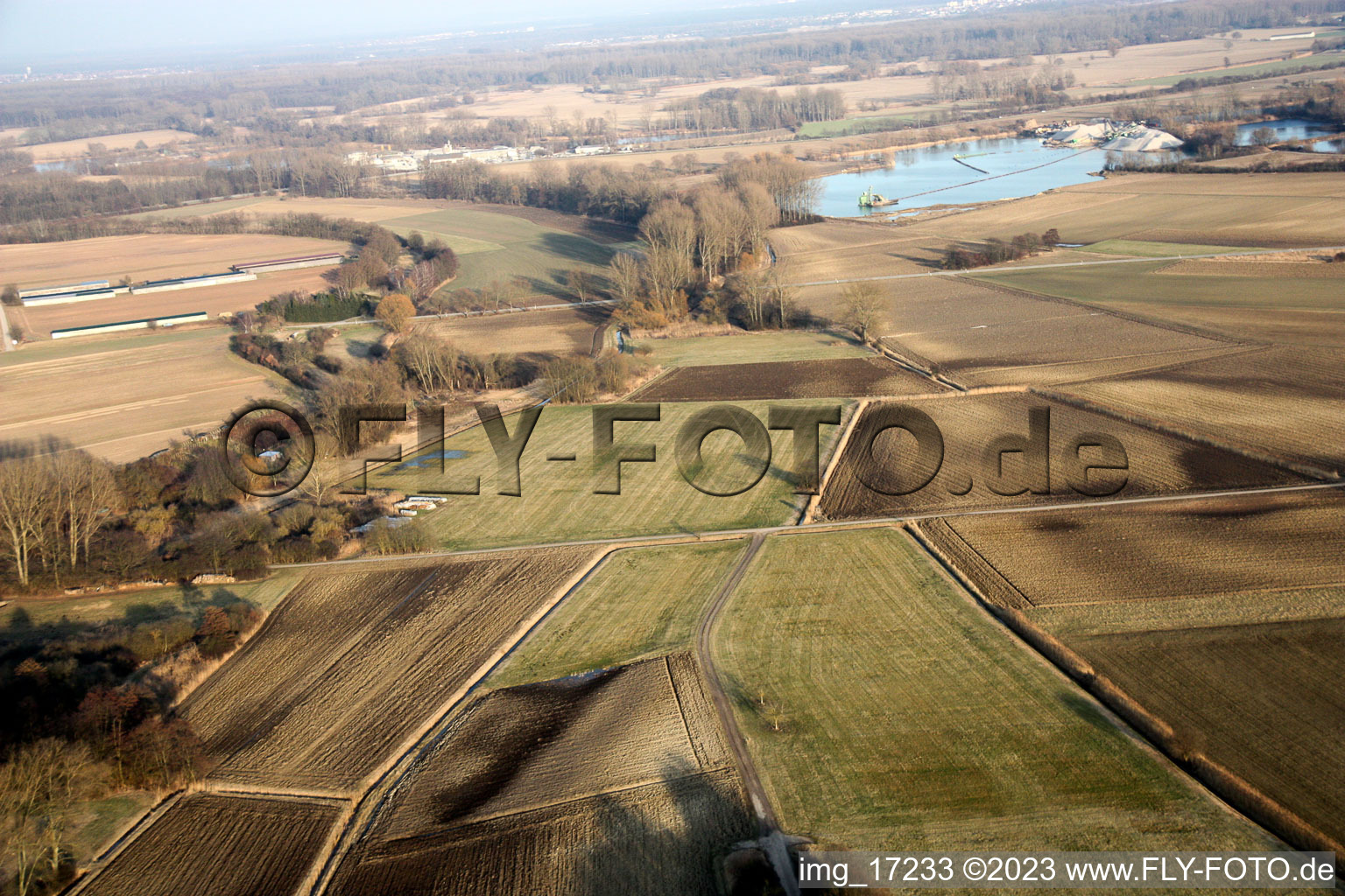 Vue aérienne de Prairies à Hördt dans le département Rhénanie-Palatinat, Allemagne