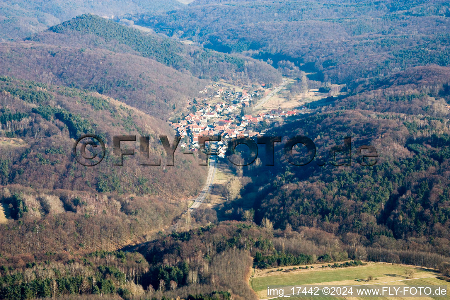 Waldrohrbach dans le département Rhénanie-Palatinat, Allemagne vue d'en haut