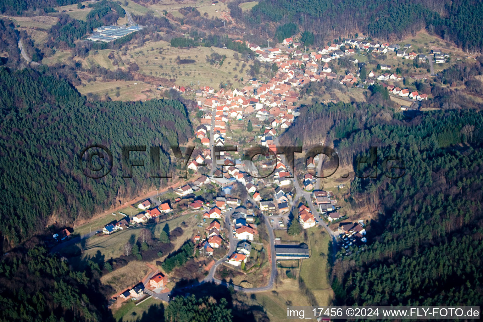 Photographie aérienne de Schwanheim dans le département Rhénanie-Palatinat, Allemagne