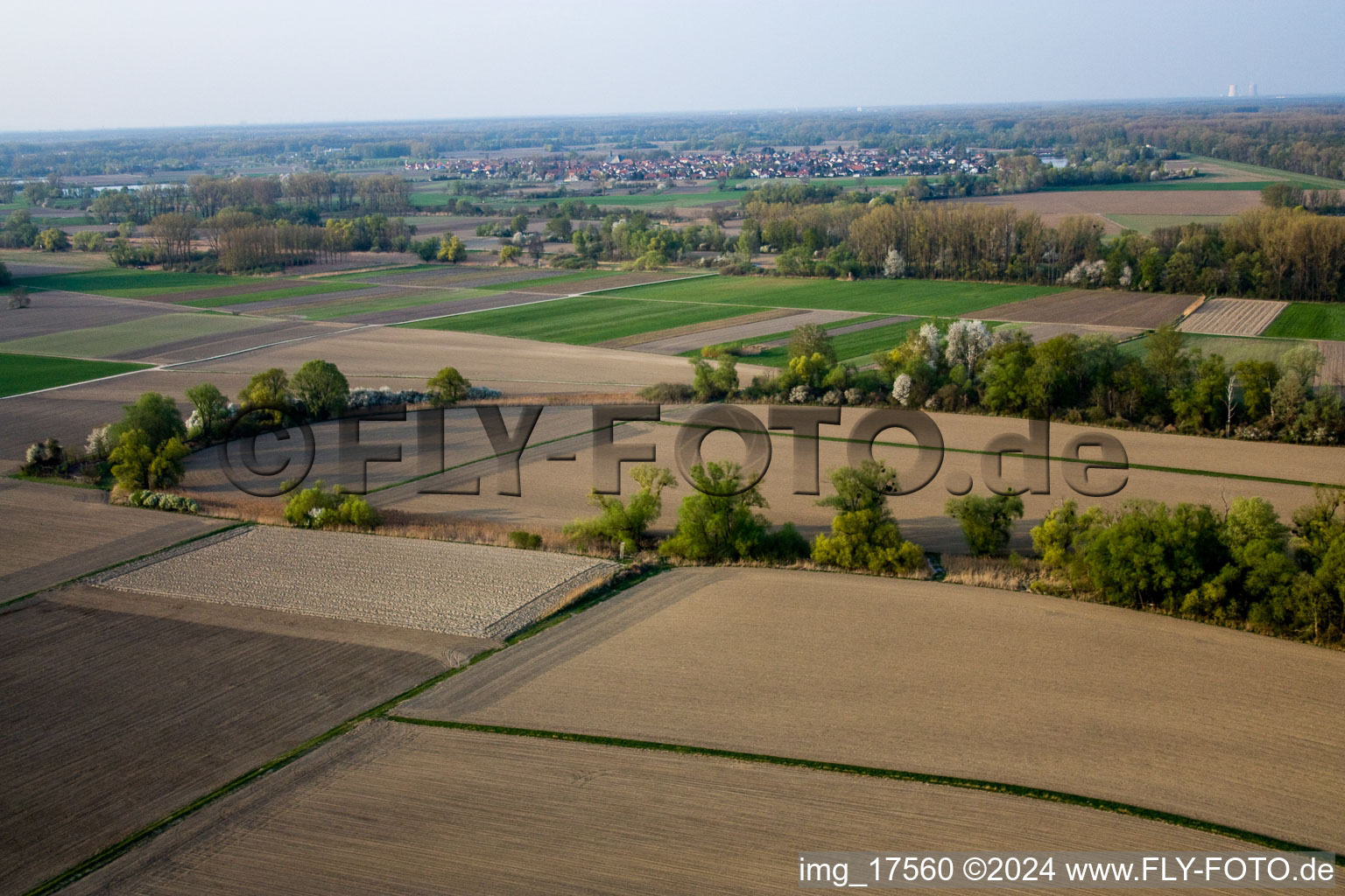 Vue aérienne de Du sud à Leimersheim dans le département Rhénanie-Palatinat, Allemagne