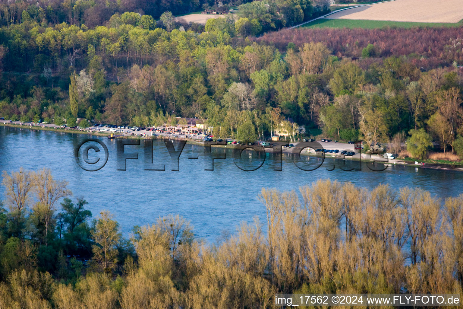 Vue aérienne de Traversier à Leimersheim dans le département Rhénanie-Palatinat, Allemagne