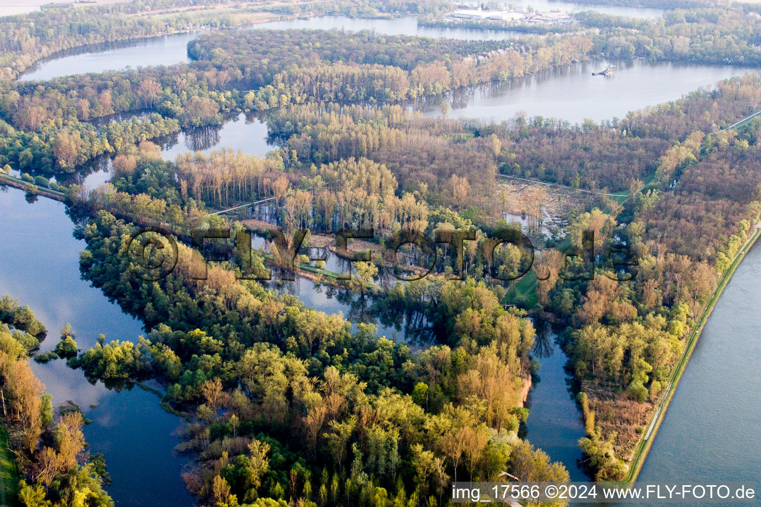 Vue aérienne de Delta du fleuve et embouchure du Rhin à le quartier Leopoldshafen in Eggenstein-Leopoldshafen dans le département Bade-Wurtemberg, Allemagne