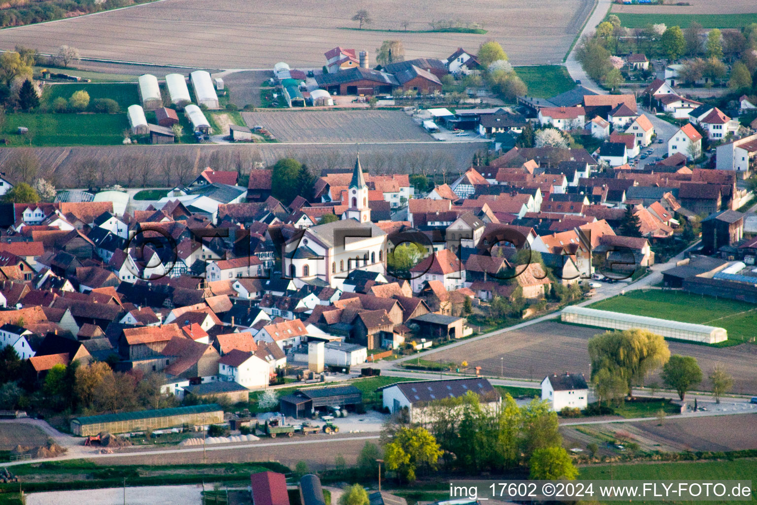 Vue aérienne de Neupotz dans le département Rhénanie-Palatinat, Allemagne