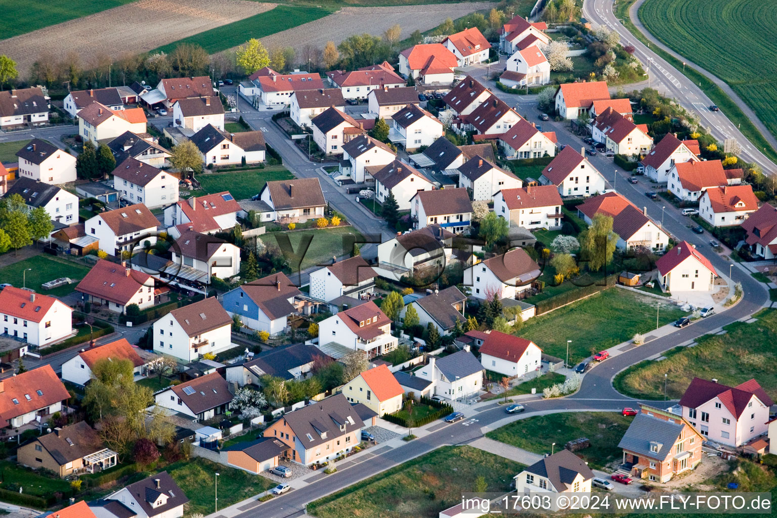 Photographie aérienne de Neupotz dans le département Rhénanie-Palatinat, Allemagne