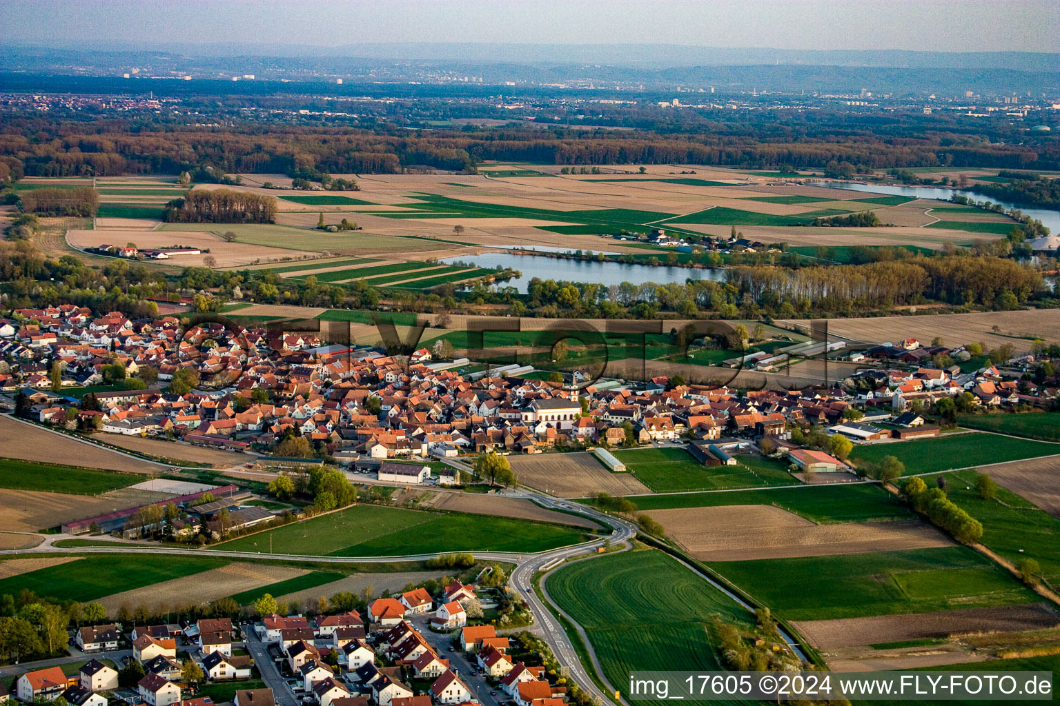 Vue oblique de Neupotz dans le département Rhénanie-Palatinat, Allemagne