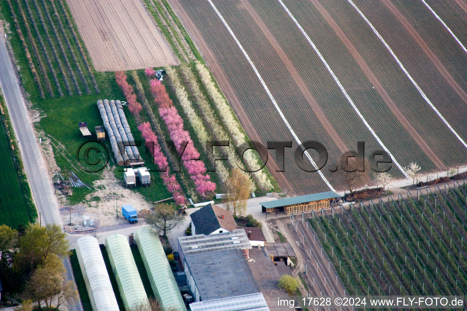 Ferme fruitière Zapf à Kandel dans le département Rhénanie-Palatinat, Allemagne depuis l'avion