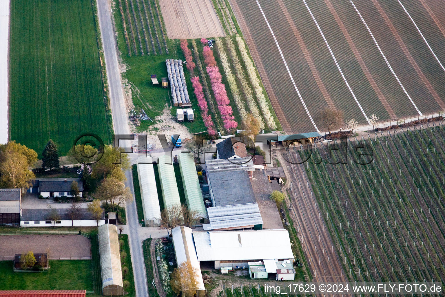 Vue d'oiseau de Ferme fruitière Zapf à Kandel dans le département Rhénanie-Palatinat, Allemagne