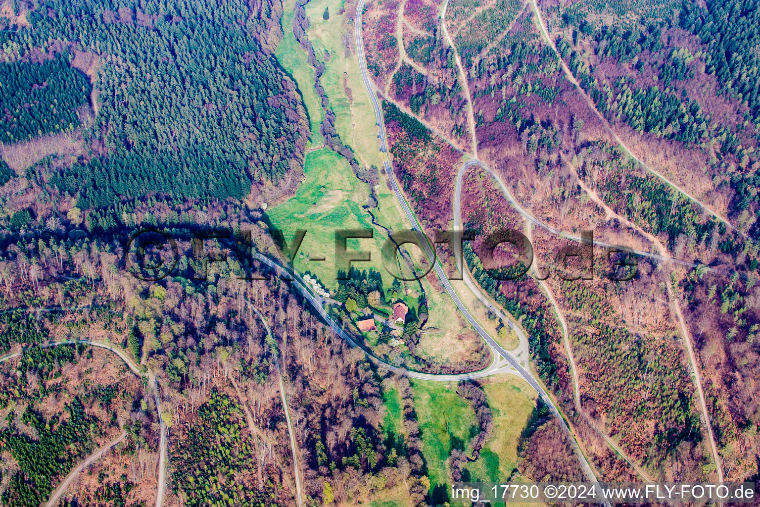 Vue aérienne de Paysage forestier et montagneux Moosalbthal à Schöllbronn à le quartier Burbach in Marxzell dans le département Bade-Wurtemberg, Allemagne