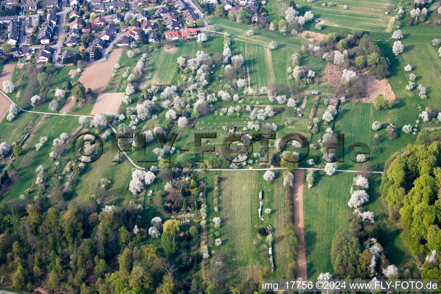 Vue aérienne de Parcelles d'un jardin familial à le quartier Oberweier in Gaggenau dans le département Bade-Wurtemberg, Allemagne