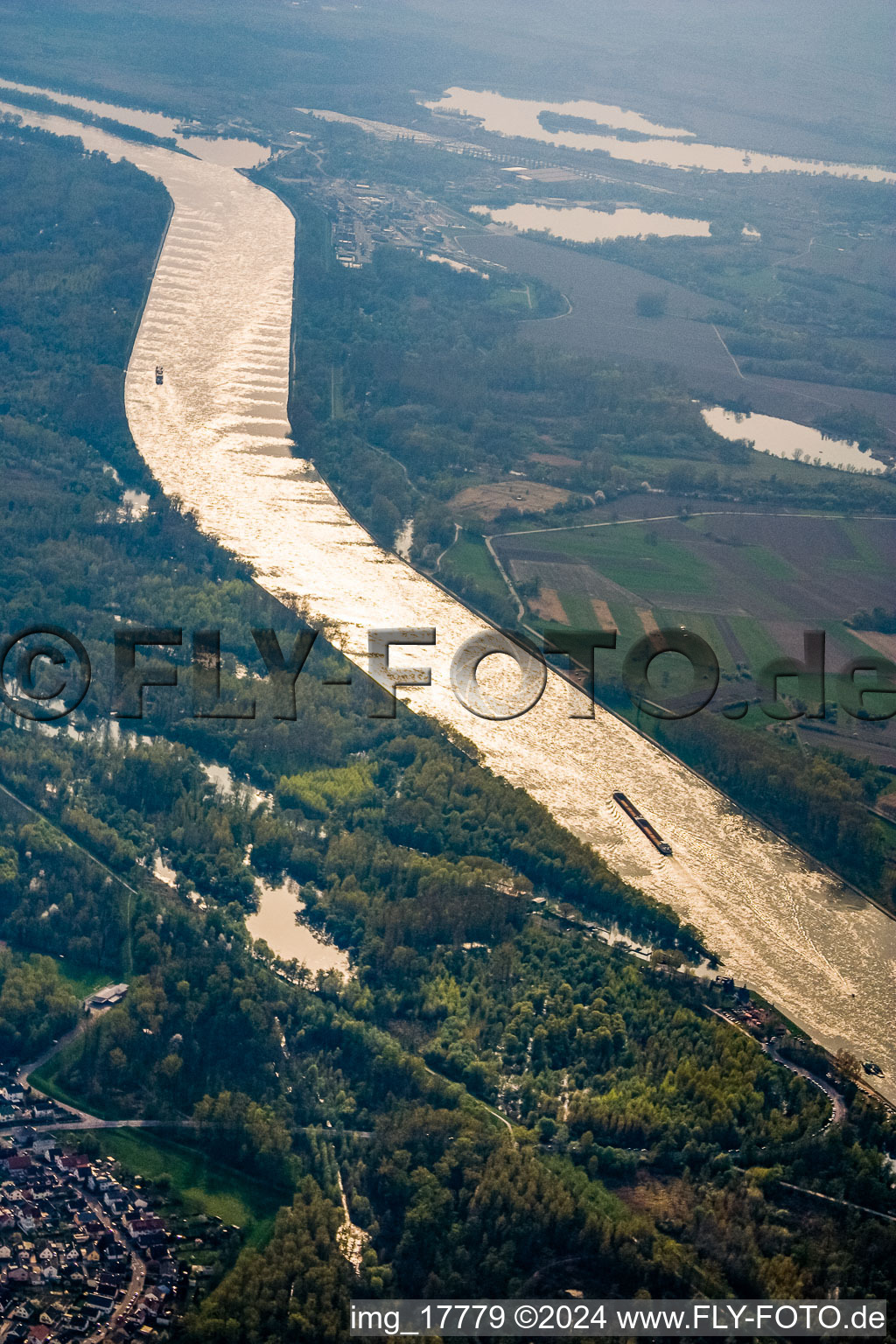 Vue aérienne de Embouchure de l'Auer Altrhein dans le Rhin à Au am Rhein dans le département Bade-Wurtemberg, Allemagne