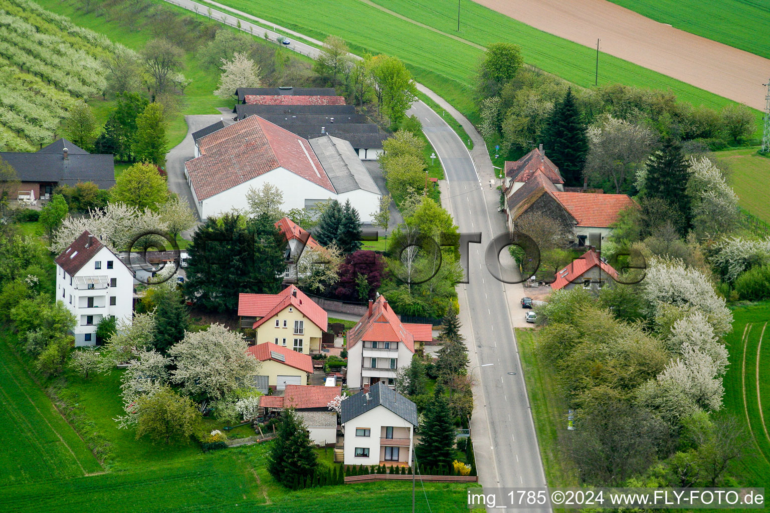 Vue aérienne de Sortie vers O à Hergersweiler dans le département Rhénanie-Palatinat, Allemagne