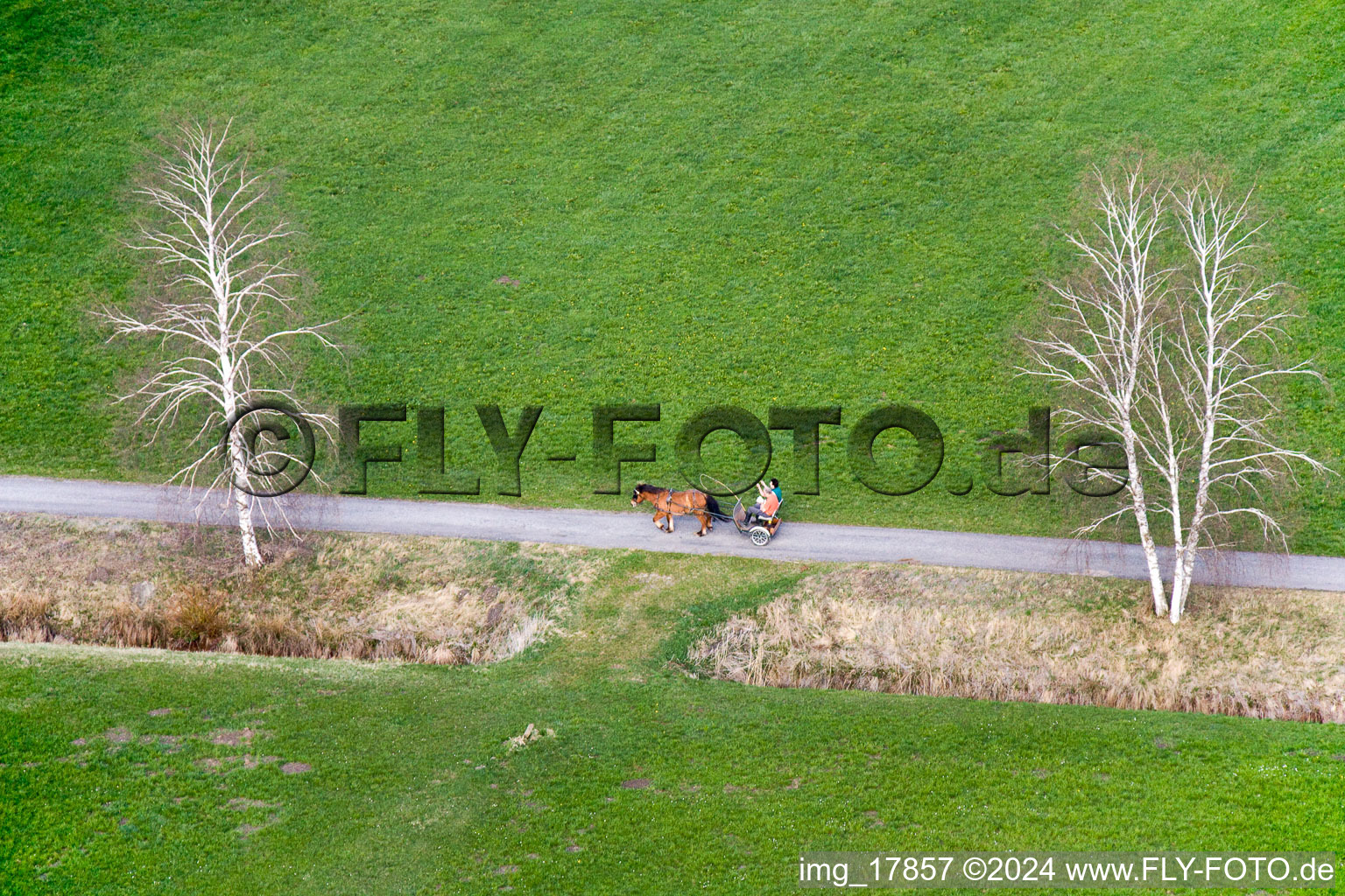 Vue aérienne de Chariot à un cheval dans la circulation le long de la route de campagne à Raisting dans le département Bavière, Allemagne