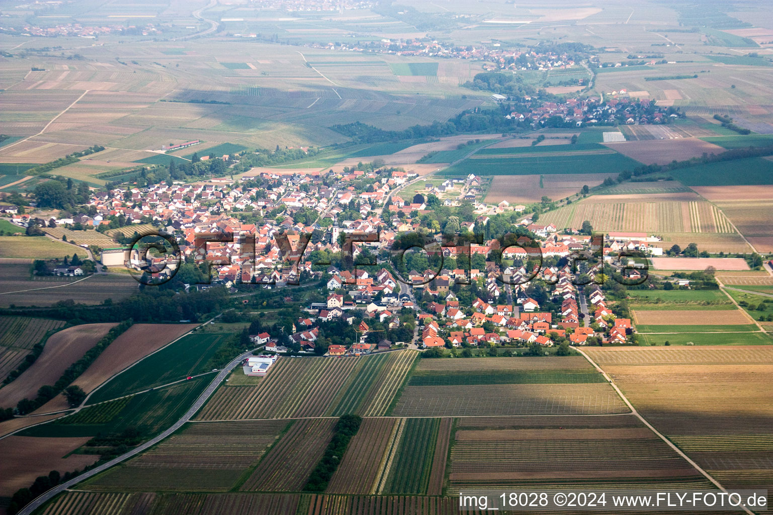 Kleinkarlbach dans le département Rhénanie-Palatinat, Allemagne depuis l'avion