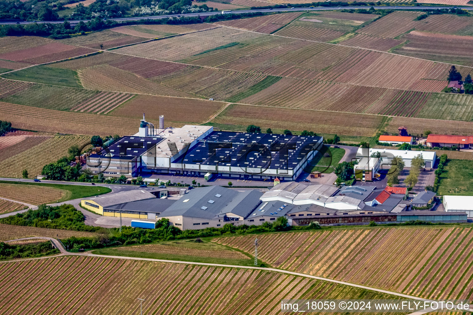 Photographie aérienne de Locaux de l'usine Wellpappenfabrik GmbH à le quartier Sausenheim in Grünstadt dans le département Rhénanie-Palatinat, Allemagne