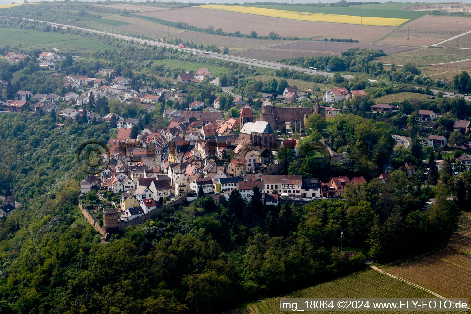 Vue aérienne de Complexe du château de la forteresse Neuleiningen à Neuleiningen dans le département Rhénanie-Palatinat, Allemagne