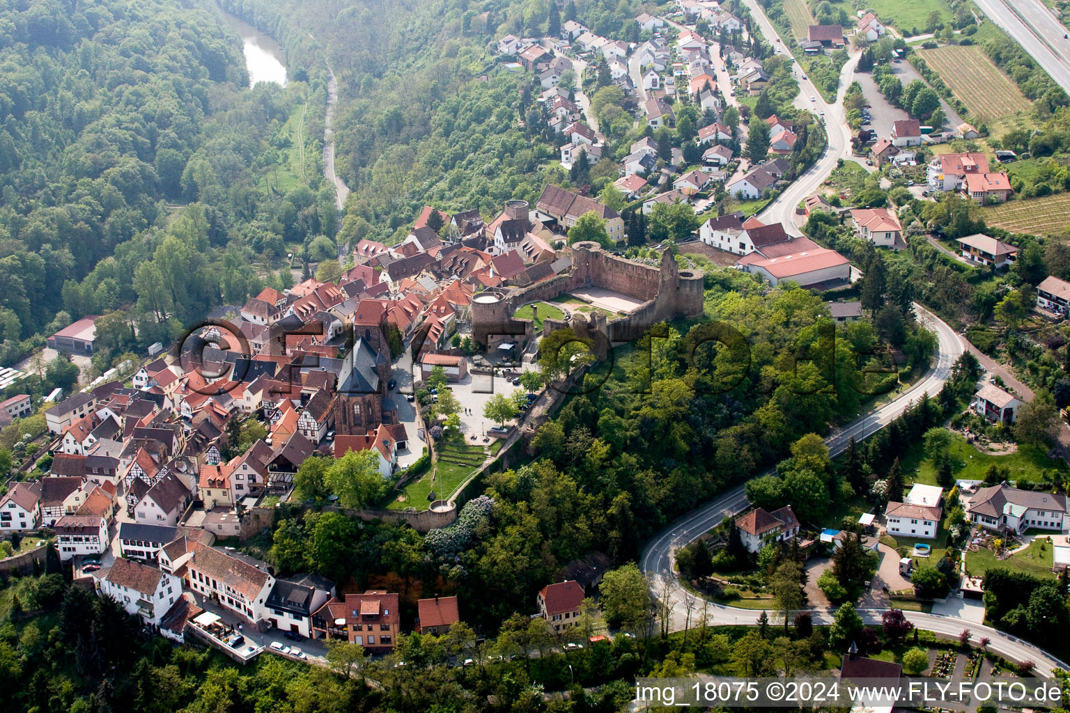 Vue aérienne de Château à Neuleiningen dans le département Rhénanie-Palatinat, Allemagne