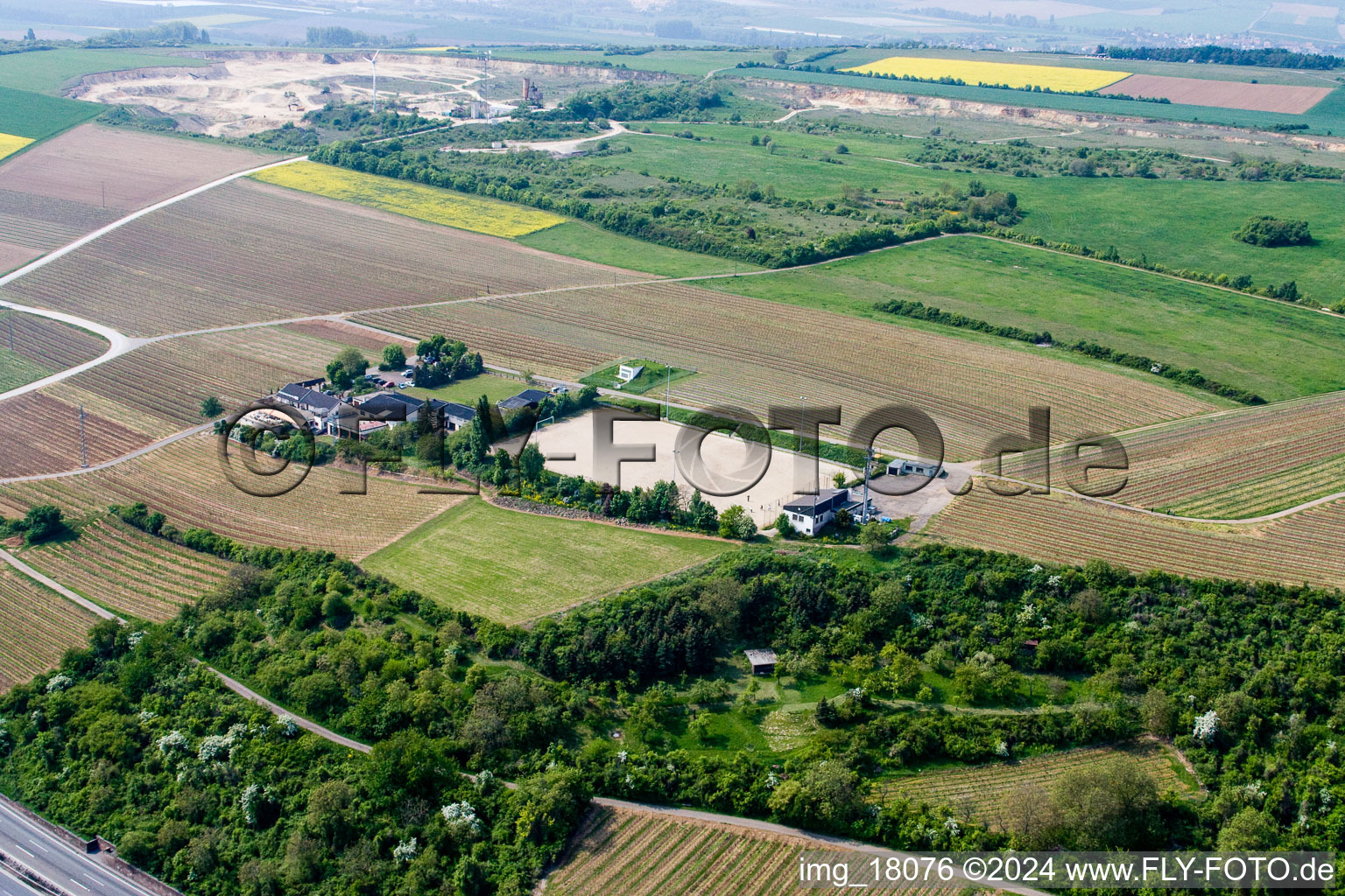 Vue aérienne de Domaine viticole Haus Sonnenberg à Neuleiningen dans le département Rhénanie-Palatinat, Allemagne