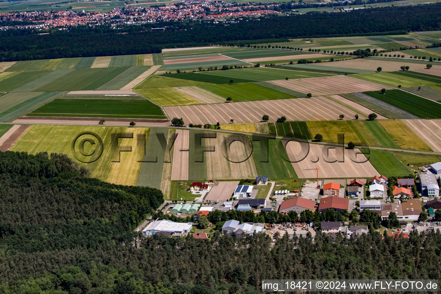 Hatzenbühl dans le département Rhénanie-Palatinat, Allemagne vue du ciel