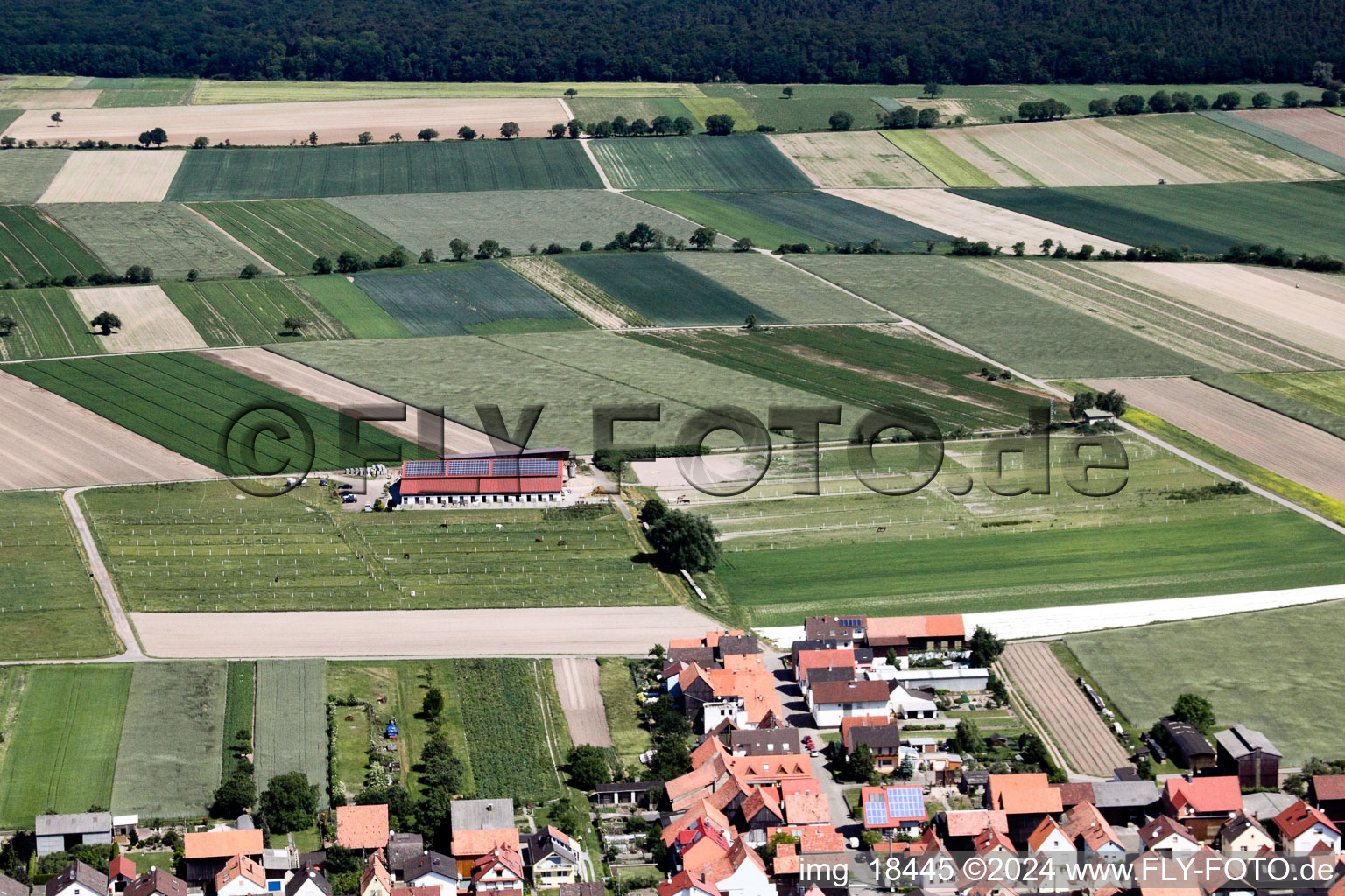 Hatzenbühl dans le département Rhénanie-Palatinat, Allemagne d'en haut