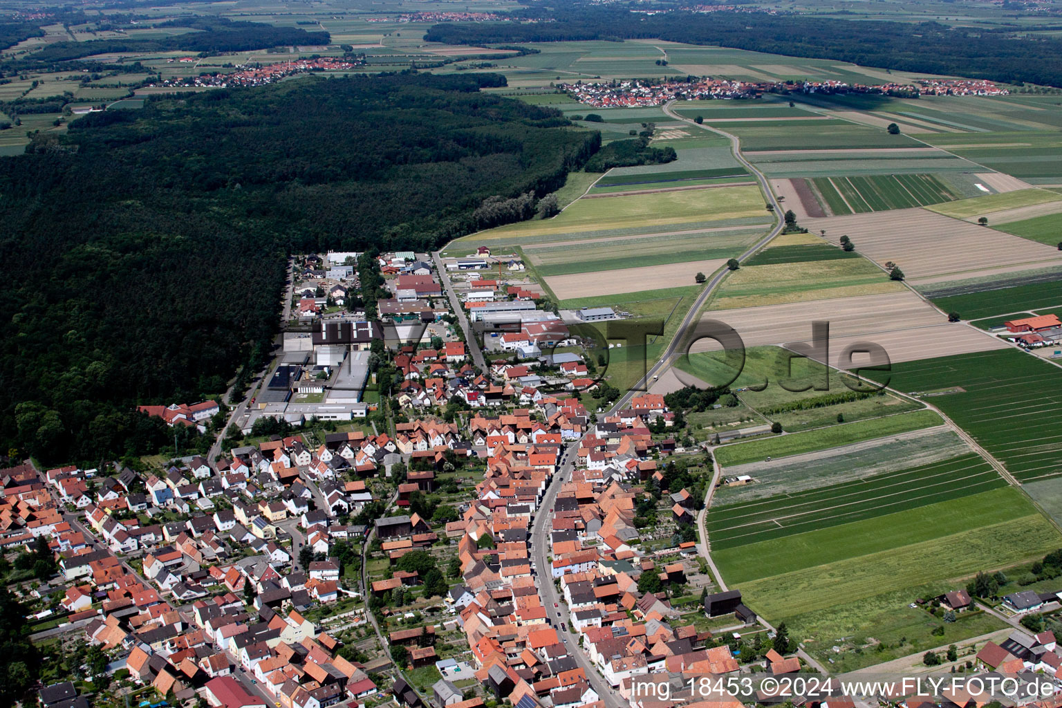 Hatzenbühl dans le département Rhénanie-Palatinat, Allemagne du point de vue du drone