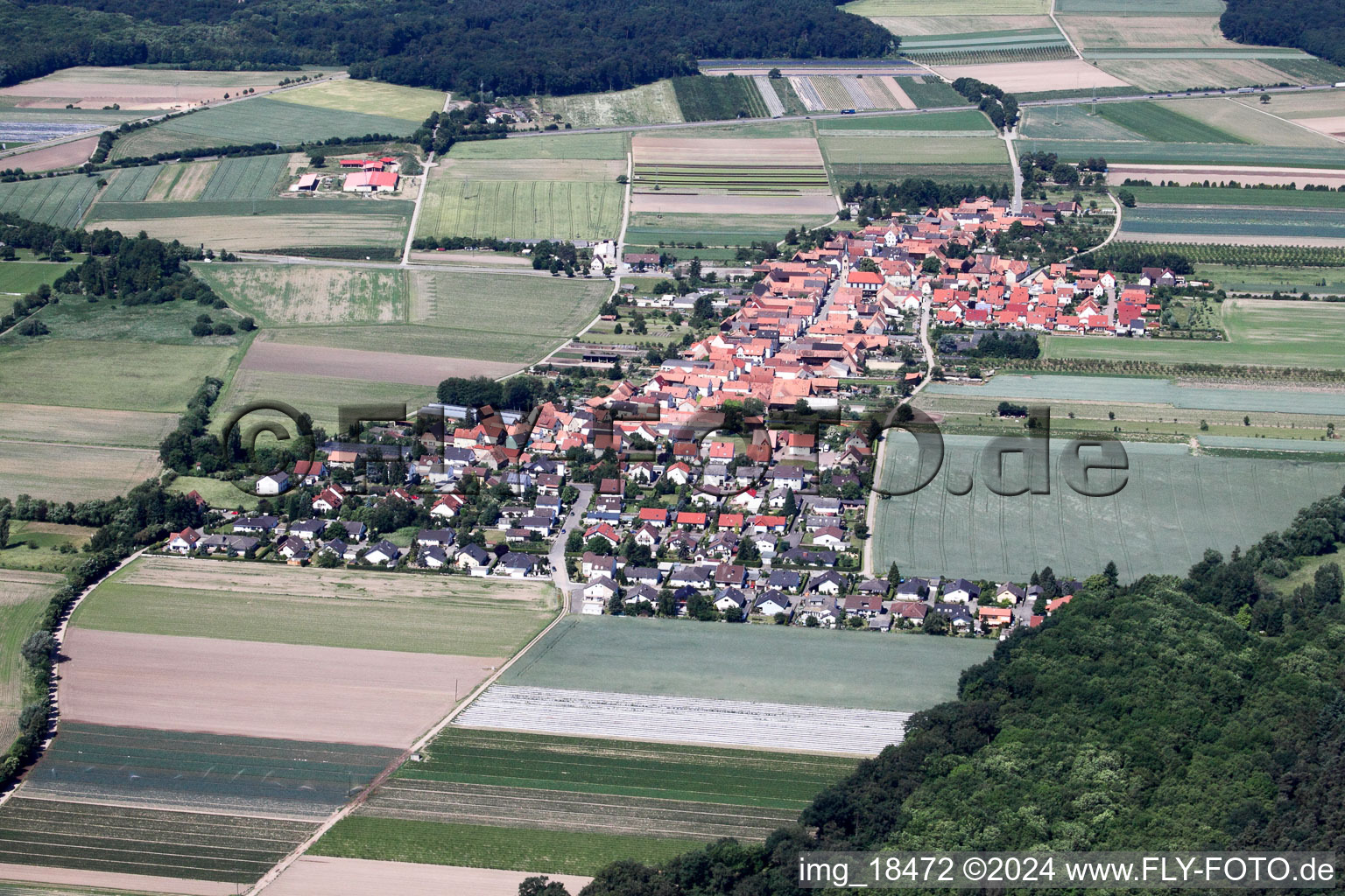 Vue aérienne de De l'est à Erlenbach bei Kandel dans le département Rhénanie-Palatinat, Allemagne