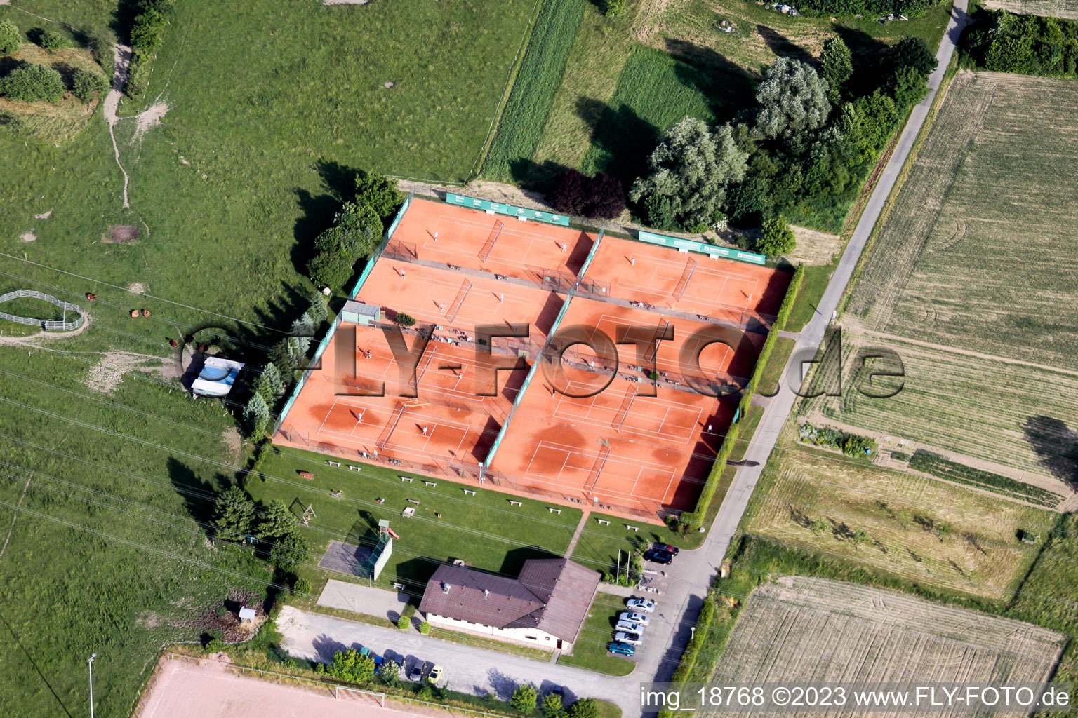 Vue aérienne de Club de tennis à Elchesheim dans le département Bade-Wurtemberg, Allemagne
