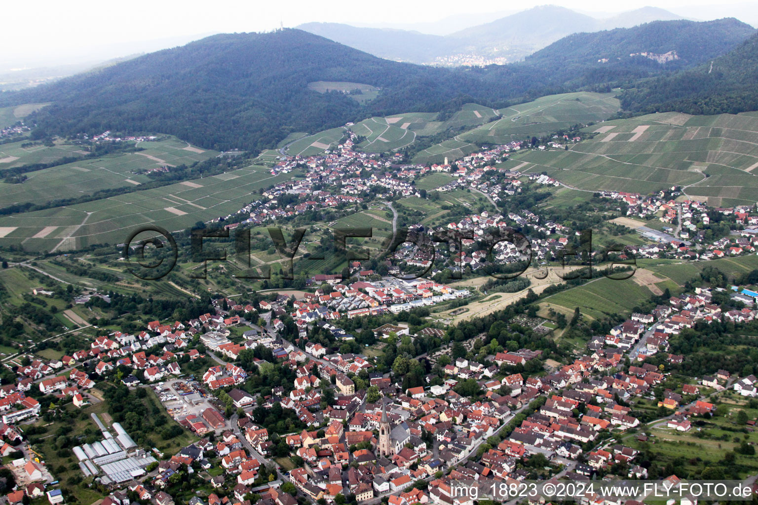 Quartier Steinbach in Baden-Baden dans le département Bade-Wurtemberg, Allemagne d'en haut