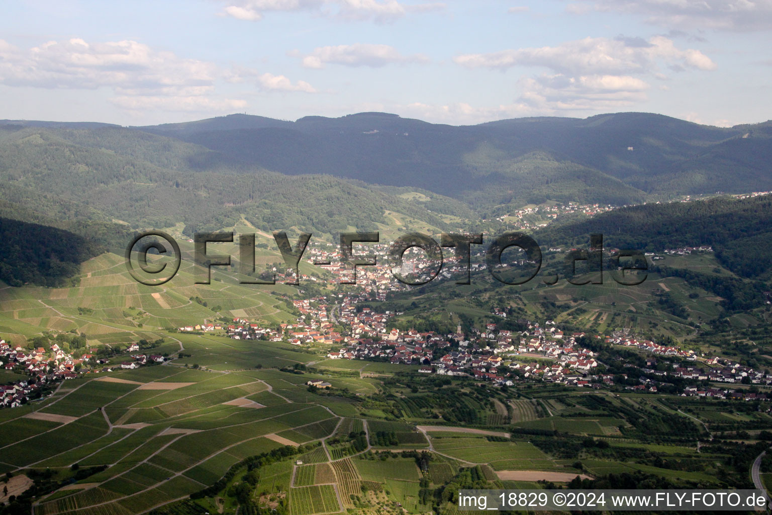 Bühlertal dans le département Bade-Wurtemberg, Allemagne d'en haut