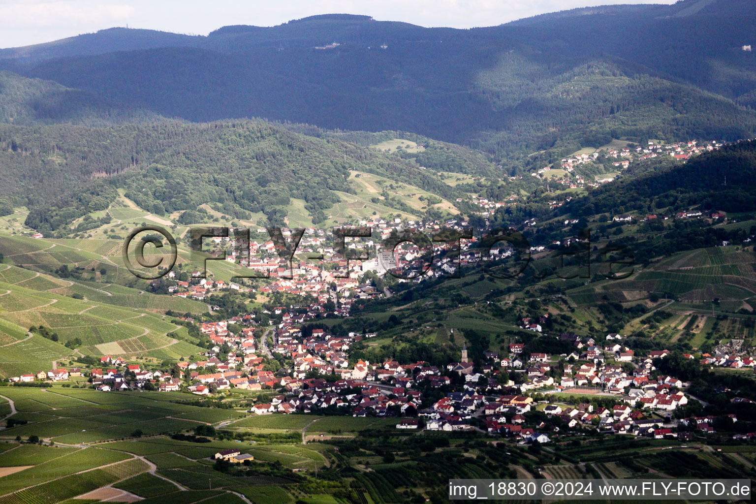 Vue aérienne de Vue sur la ville de la Forêt-Noire sur les rues et les maisons des quartiers résidentiels à le quartier Untertal in Bühlertal dans le département Bade-Wurtemberg, Allemagne