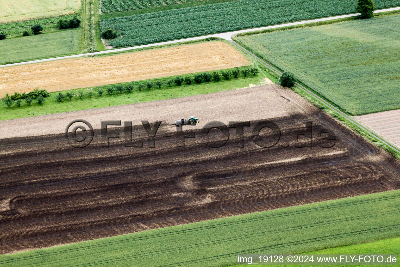 Vue aérienne de Tracteur d'épandage de fumier sur les champs agricoles à le quartier Wagshurst in Achern dans le département Bade-Wurtemberg, Allemagne