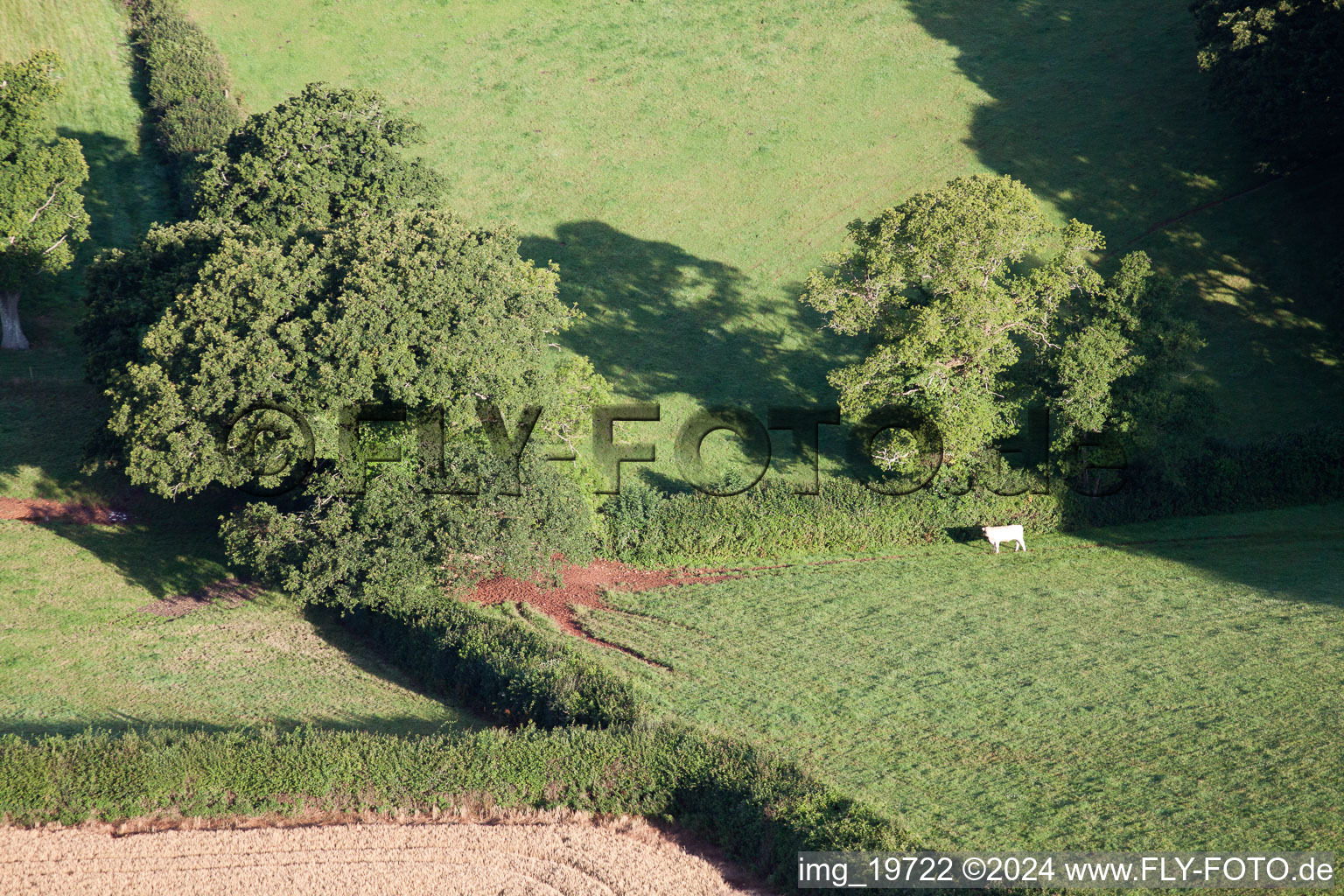 Enregistrement par drone de Abbotskerswell dans le département Angleterre, Grande Bretagne