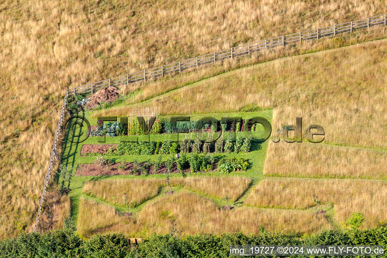 Vue aérienne de Culture de légumes à Two Mile Oak dans le département Angleterre, Grande Bretagne