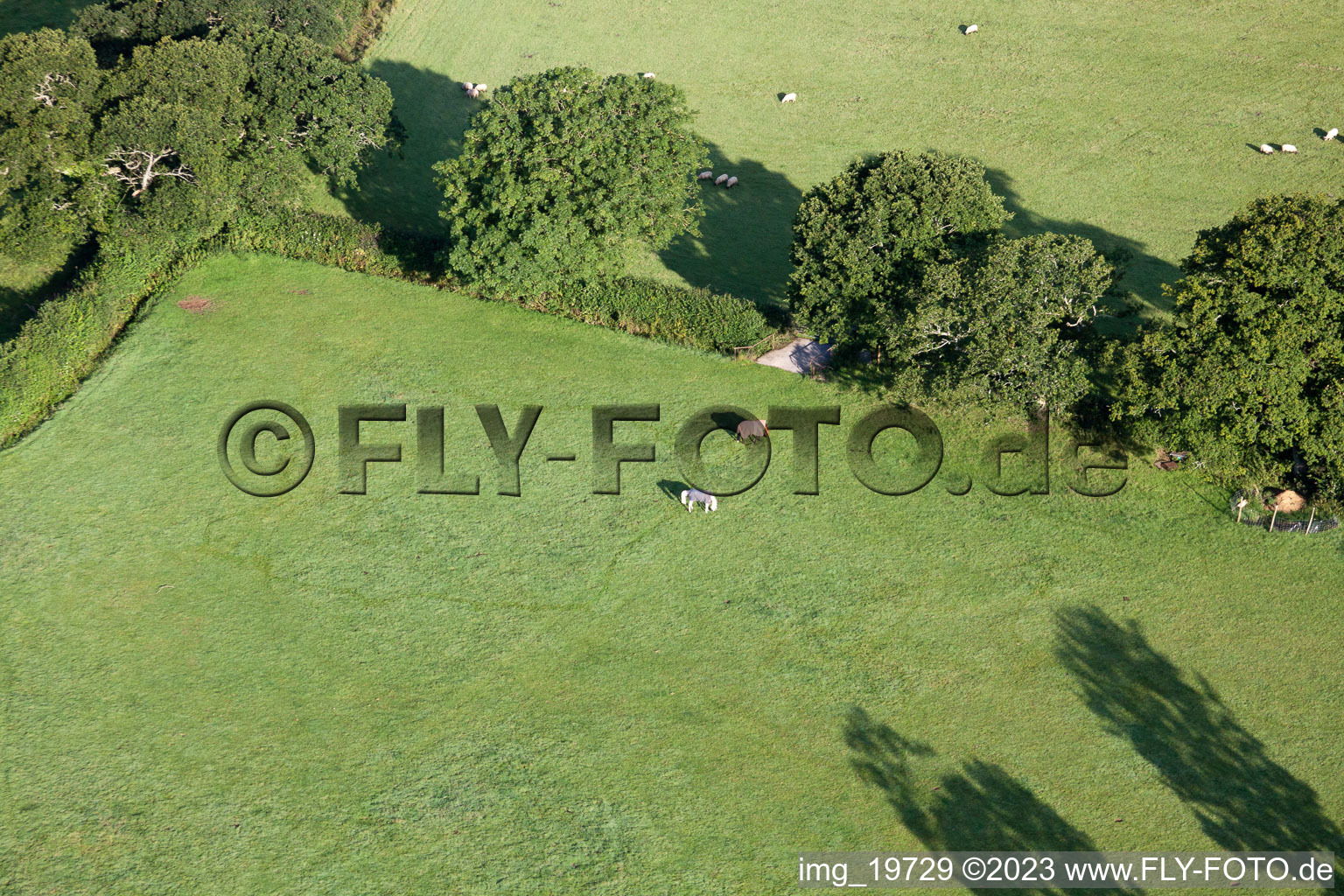 Abbotskerswell dans le département Angleterre, Grande Bretagne vu d'un drone
