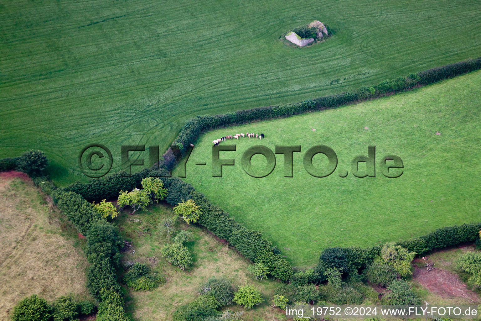 Ipplepen dans le département Angleterre, Grande Bretagne vue du ciel