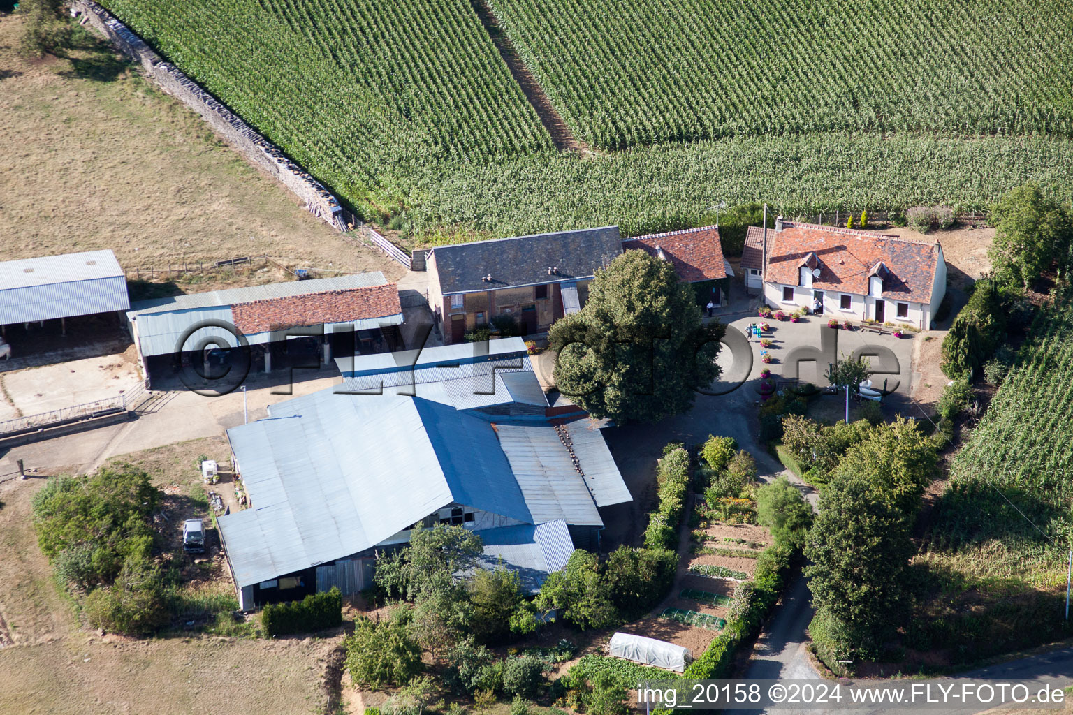 Vue aérienne de La Petite Franchaise (Apiculteur) à Coudrecieux dans le département Sarthe, France