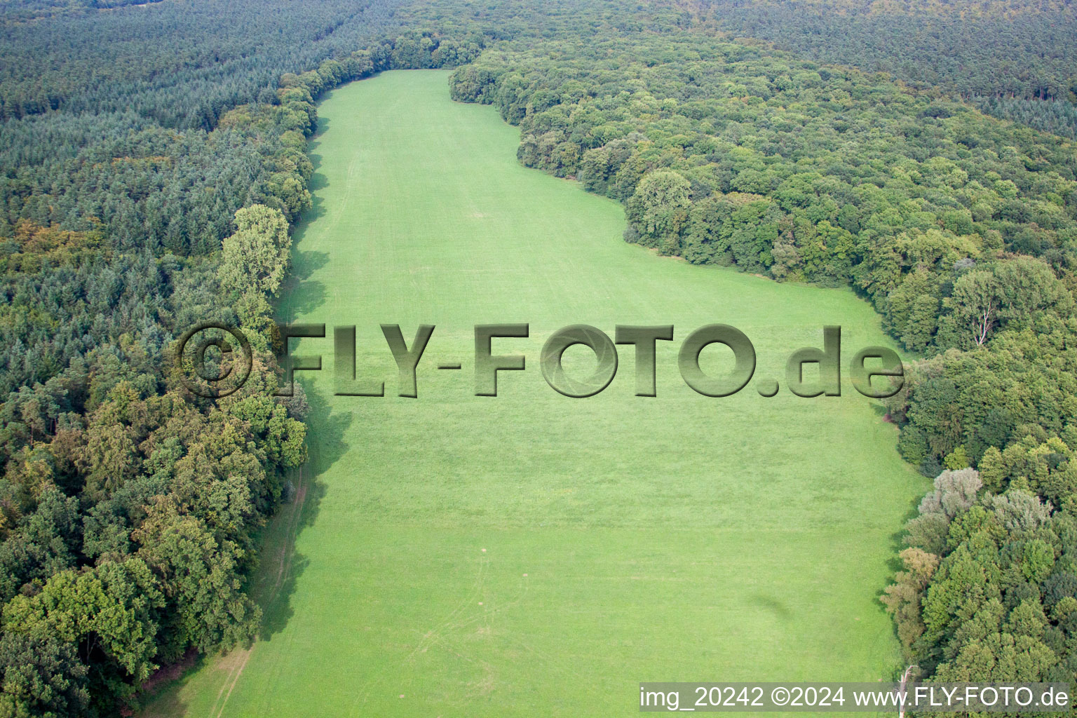 Vue aérienne de Vallée d'Otterbachtal à Kandel dans le département Rhénanie-Palatinat, Allemagne