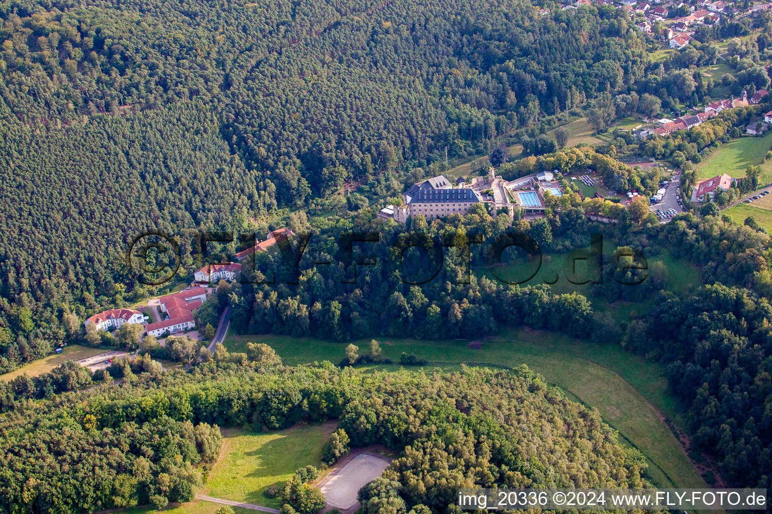 Vue aérienne de Burg-JH à Altleiningen dans le département Rhénanie-Palatinat, Allemagne